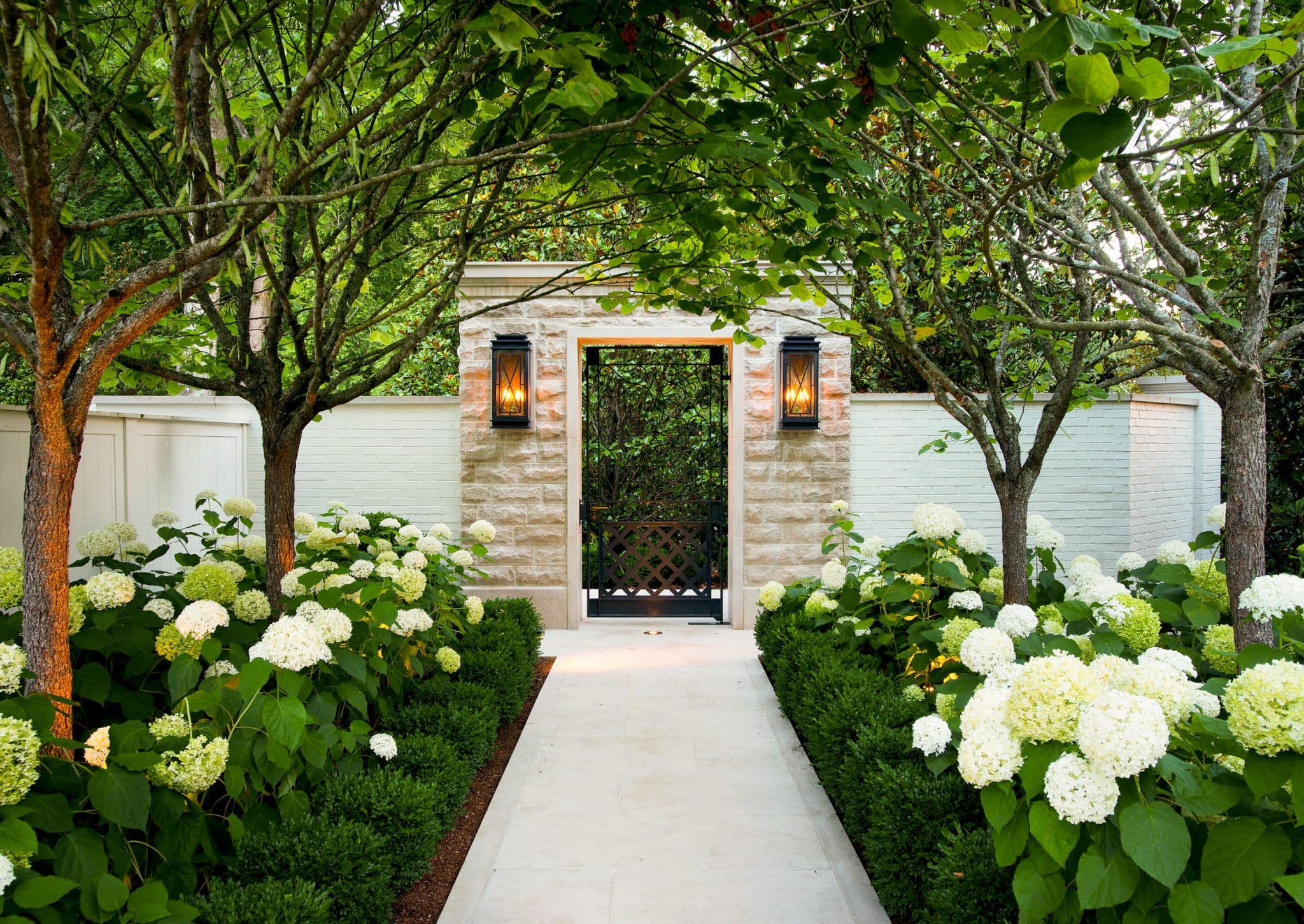 Contact form background